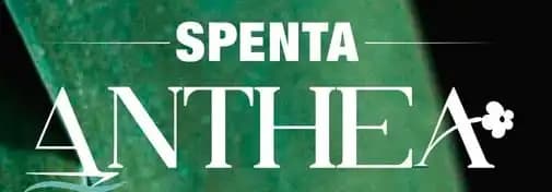 Spenta Anthea